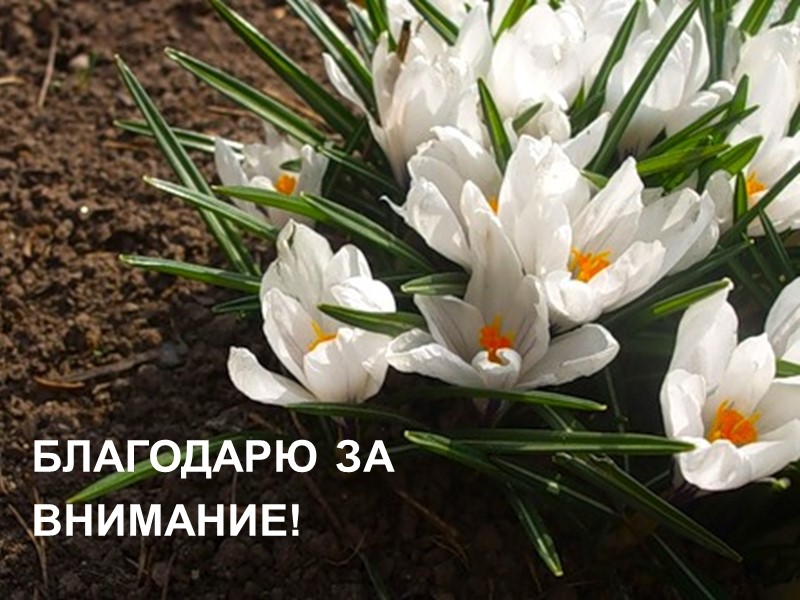 БЛАГОДАРЮ ЗА ВНИМАНИЕ!